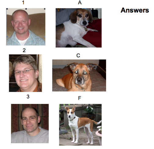 People and dogs answers