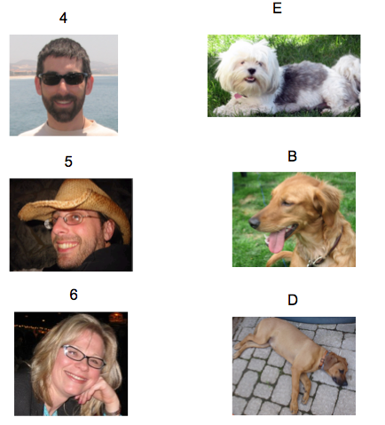 more people and dogs answers